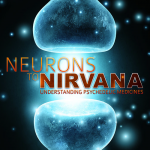 Neurônios ao Nirvana